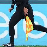 Referees Opinion