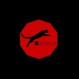 Jaguar channel (Official)