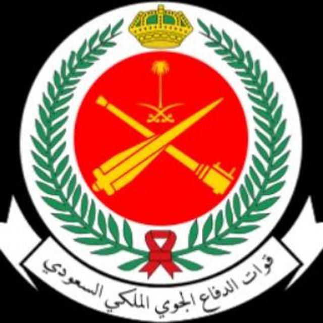 الدفاع الجوي - أفراد