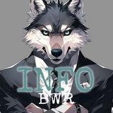 BWR INFO