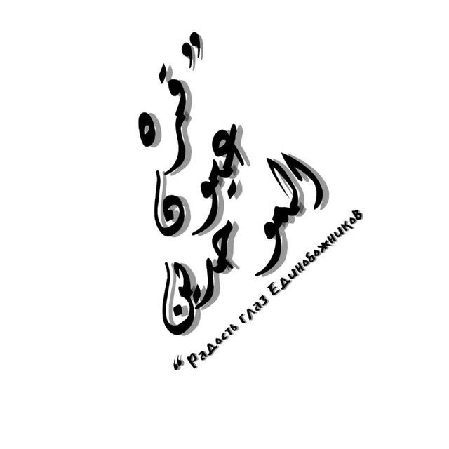 ❞︎ قرة عيون الموحدين