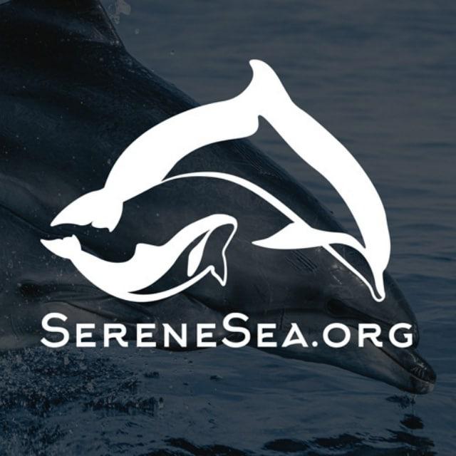 Центр «Безмятежное Море» 🐬