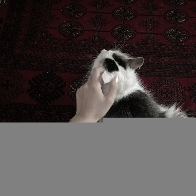 ㅤ