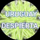 URUGUAY DESPIERTA