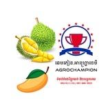 ទុរេន&ស្វាយ Champion_Agrochemicals