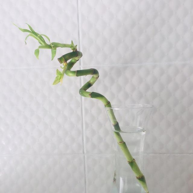 Kitaplarla_huzurum Grubu