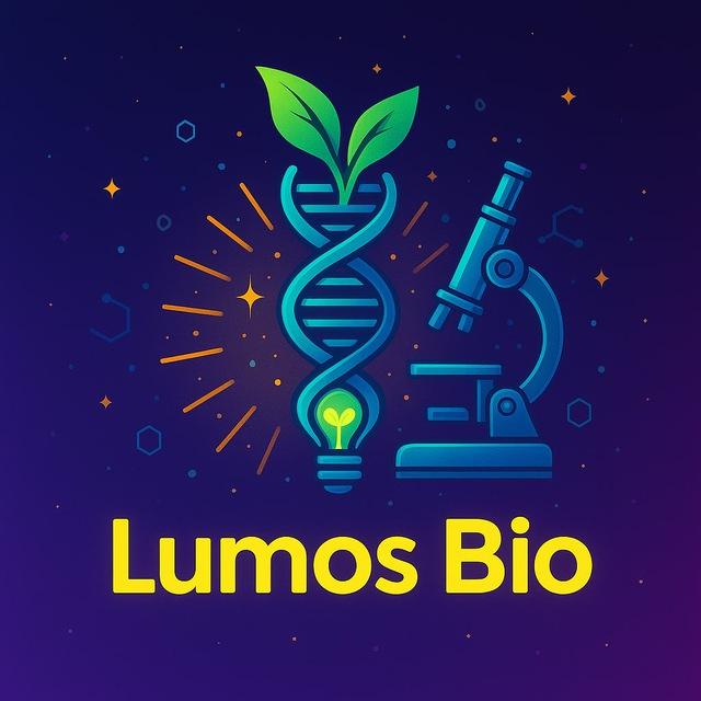 Lumos Main Channel