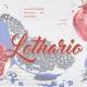 ݁LOTHARIO—黧: OPENNN