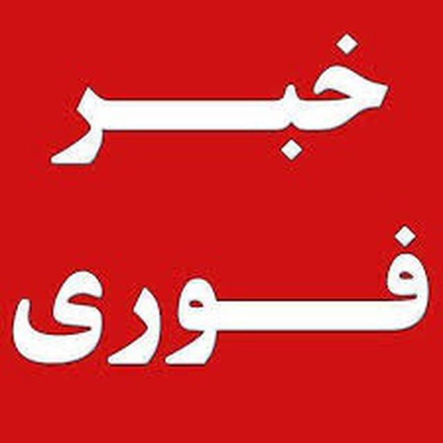 اخبار فوری