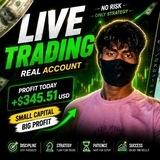 MS TRADING ZONE