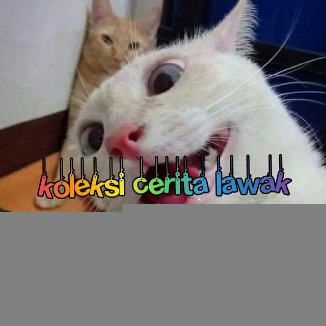 🤣 Koleksi cerita lawak 🤣