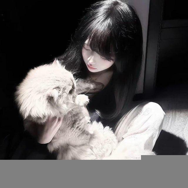 夕曼的后宫