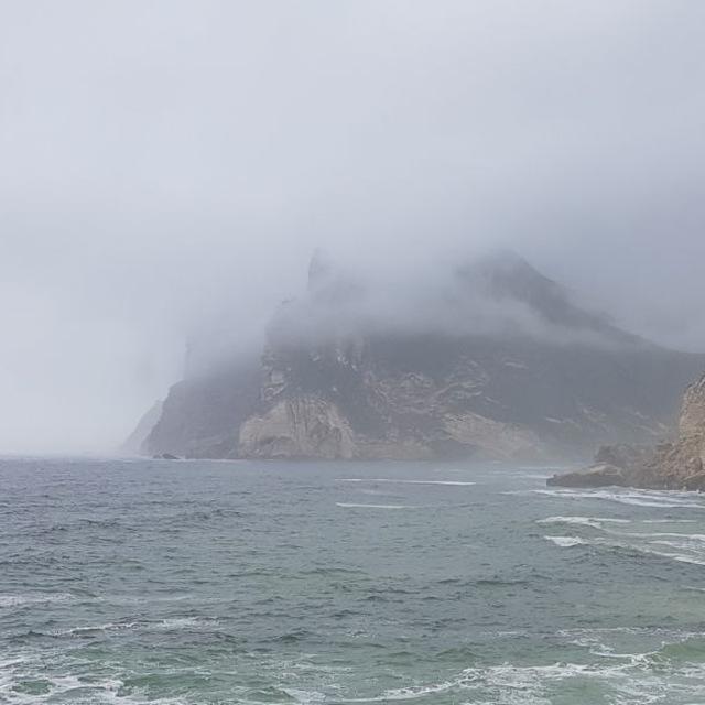د. عبد الله المنصور ( فوائد شرعية )