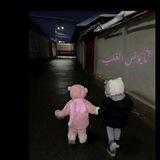 ⤶مَــا يُـؤْنِـس الـقَلب⊁.