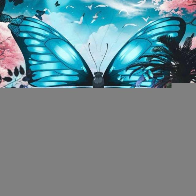 CRYPTO BUTTERFLY 🦋
