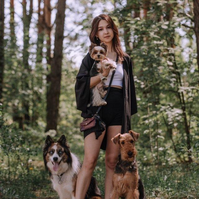 dirty puppies