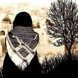 شيماء علي جمال الدين