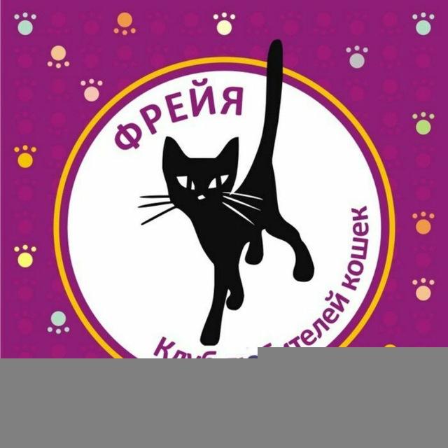 Фрейя Клуб любителей кошек Томск