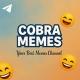 Cobra Memes