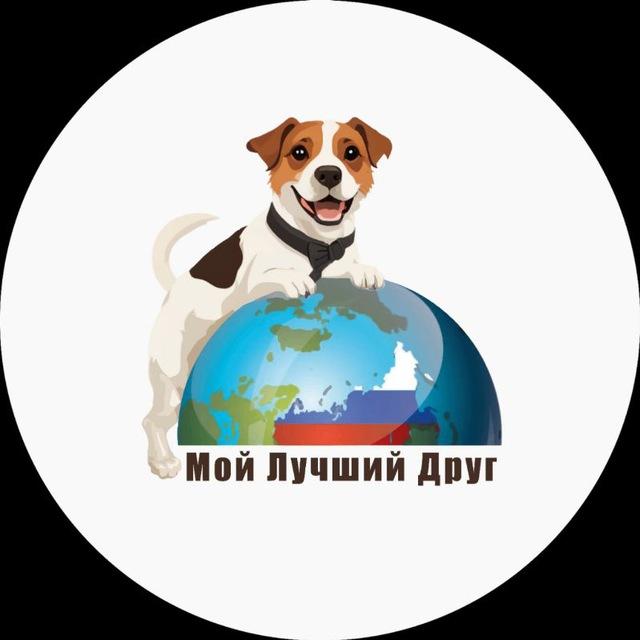 Джек Рассел терьер, Питомник "Мой Лучший Друг