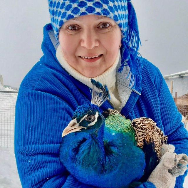 🙋‍♀Семейная ферма🦃