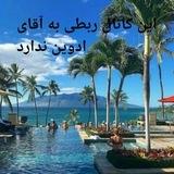 فقط ادوین