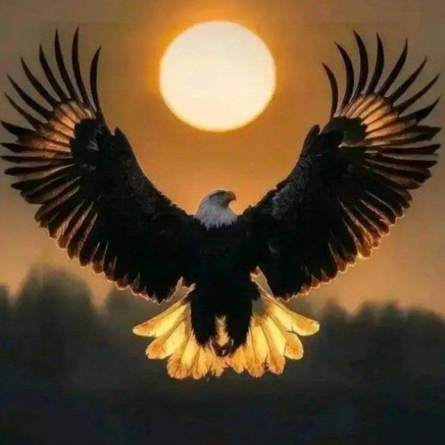 Kartal Media