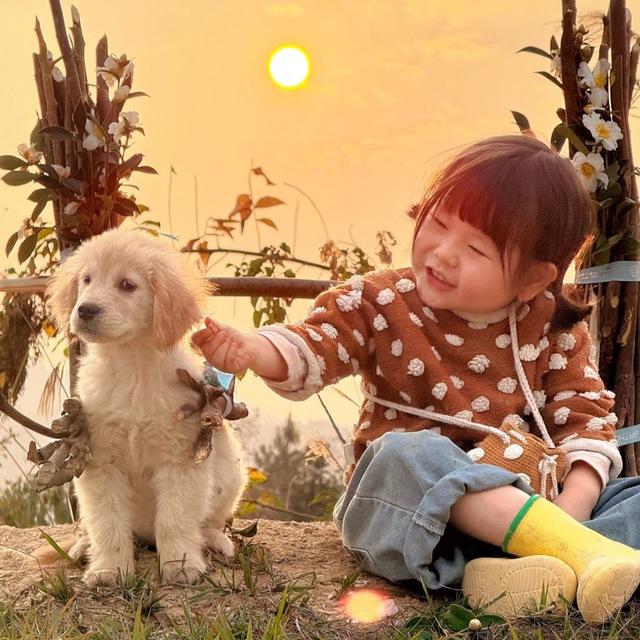 摇一摇表情包 GIF