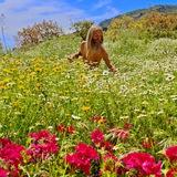 Fruitarian Paradise (Frugívoros y Autónomos)