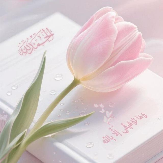 🤩فضاء الإبداع🤩