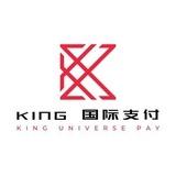 🔥 Kingpay 全球支付 🔥