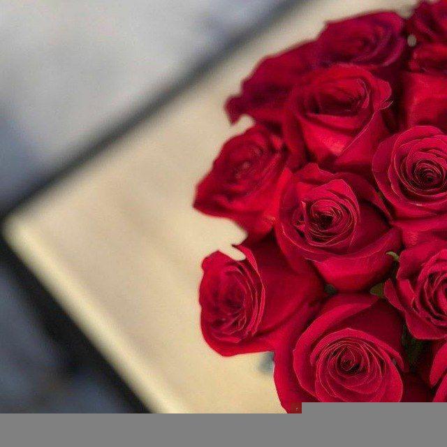 : ᷂سَلهہ ᷂الازهِار ␥ .