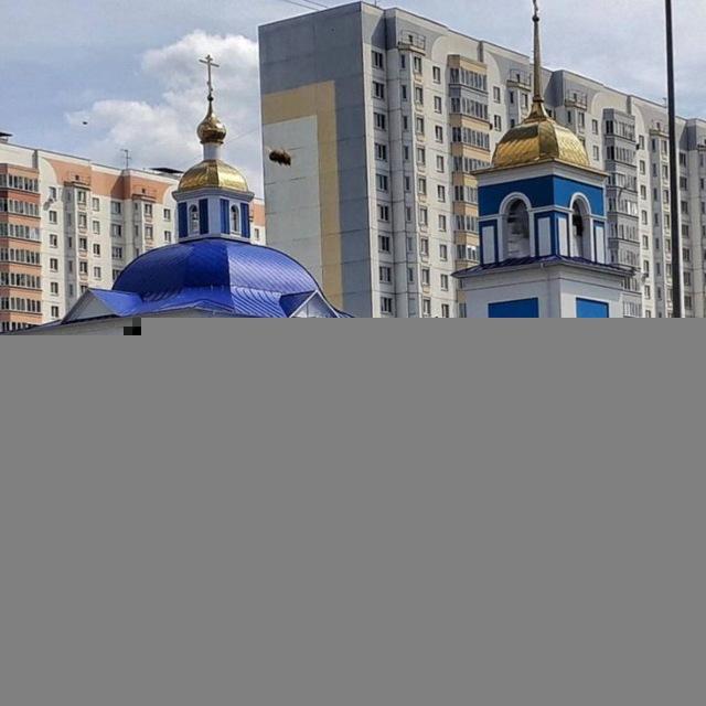 Вера Терра Слово