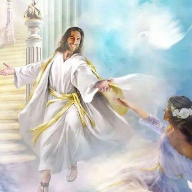 JESUS- der Weg in die Freiheit❤️🎁🕊🙏😇💡🦚