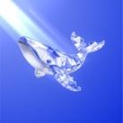 1Whale