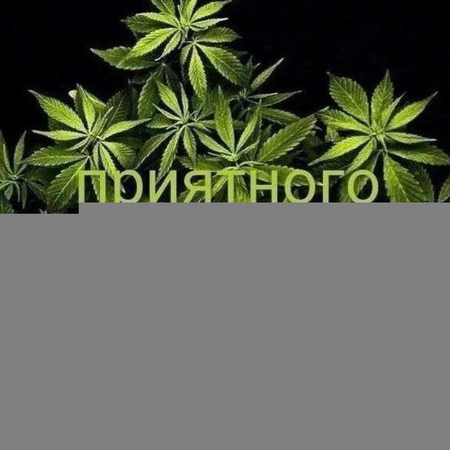 генстеры с дагестана 👉🏻👌🏻