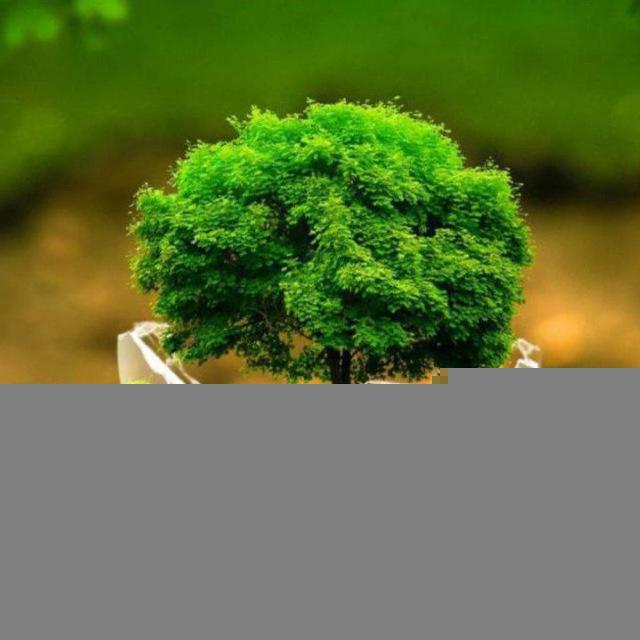🎯 All Agriculture NOTES 📚& PDF🗂 🎯