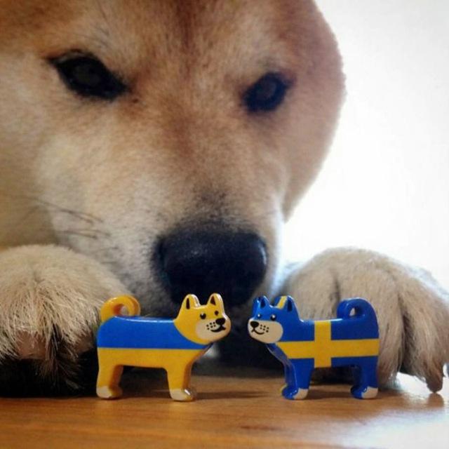 Svenska Drömmen (Шведська мрія)