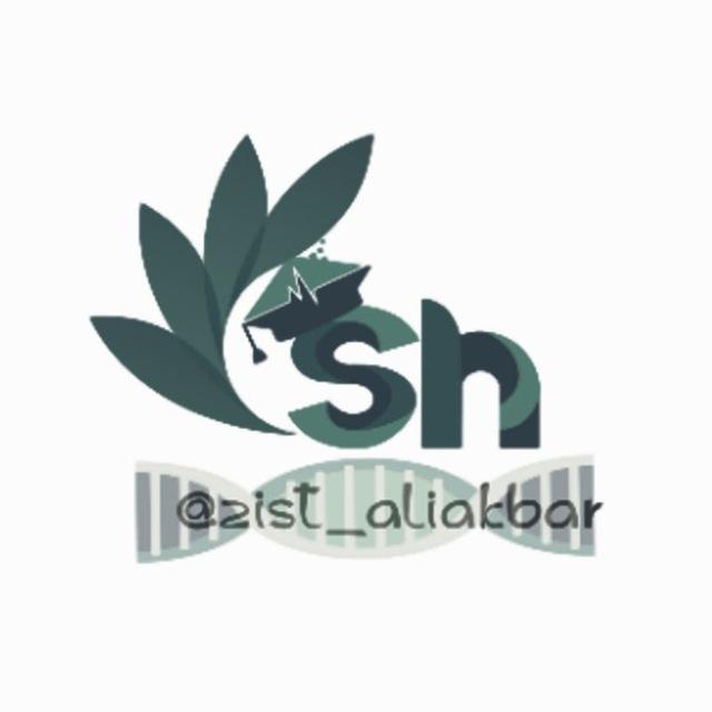 زیست|علی‌اکبر