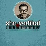 شاهین نجفی | ShahinNajafi