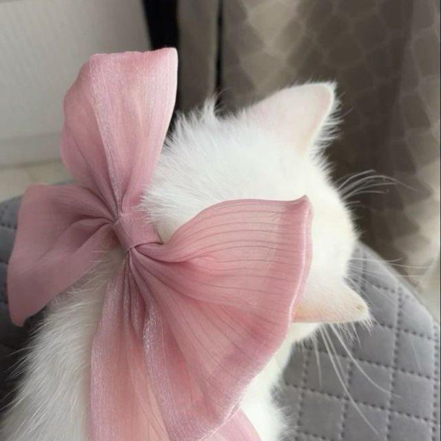 إطمئن | 🌸 .