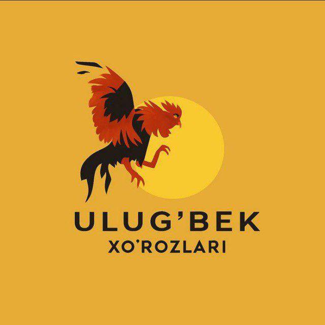 УЛУҒБЕК ХЎРОЗЛАРИ (Канал)🐥🐓🐔