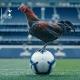 የቶተንሃም የዜና ቻናል (ethio tottenham fans