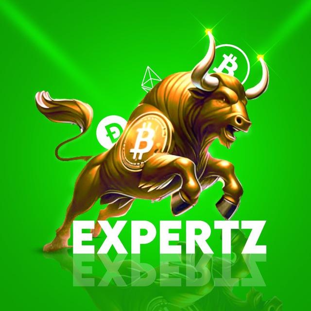 Crypto Expertz Recover Your Losses
