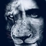 LION Media