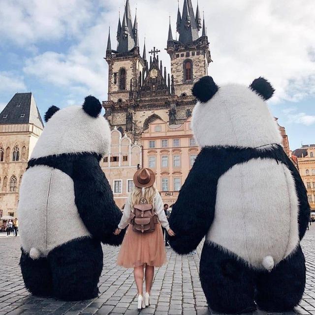 ﮼بانداا🐼🤍🎻