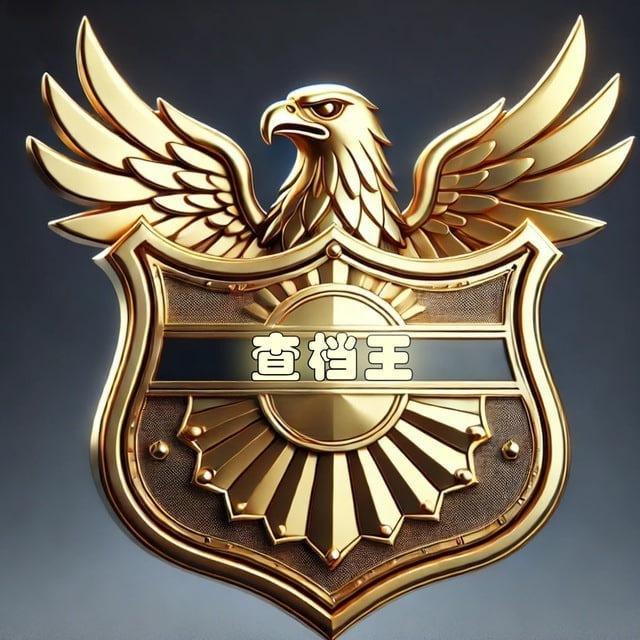 查档王社工库机器人