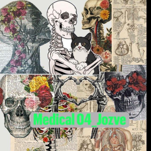 Medical04_Josve