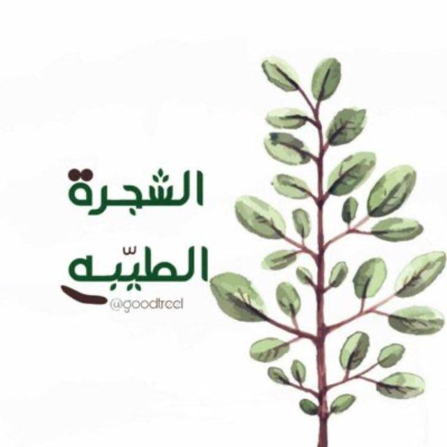الشجْـرةُ الطيّـبه🍃