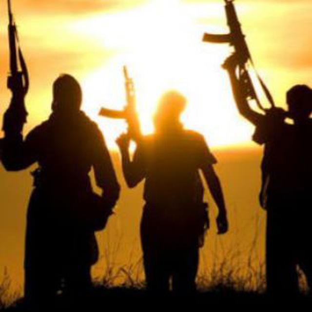 المقاومة الإسلامية الشعبية في الجنوب السوري
